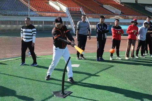 北京市一校一品体育教学改革项目新兴运动项目系列培训软式棒垒球