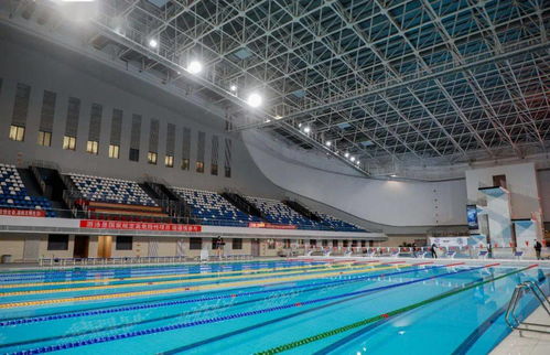 低收费开放 还有独一无二的潜水项目 呼和浩特市体育中心开始试运行